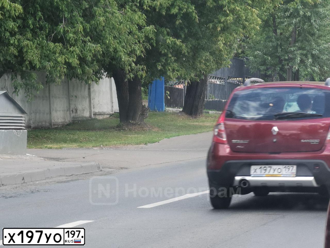 Фото автомобиля RENAULT SANDERO, 2012 — госномер Х197УО197. Цвет: КРАСНЫЙ