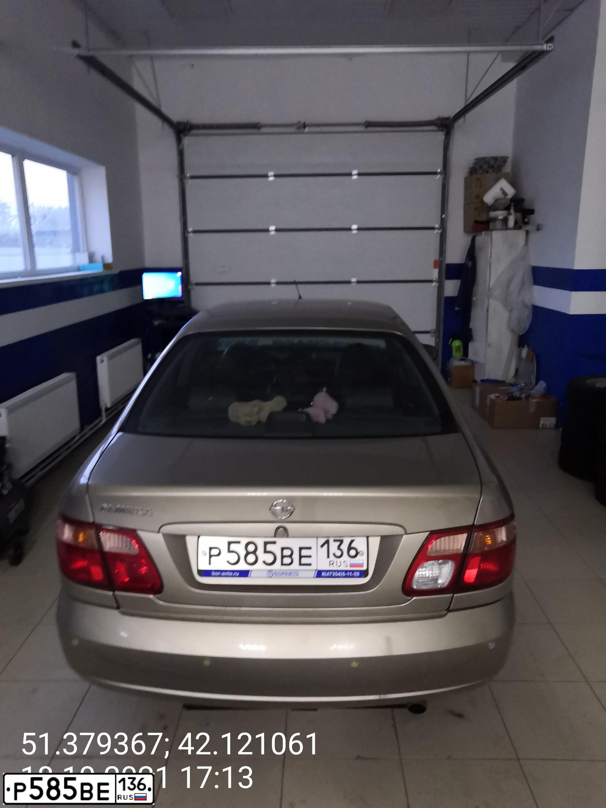 Фото автомобиля NISSAN ALMERA, 2004 — госномер Р585ВЕ136. Цвет: ЗОЛОТИСТЫЙ