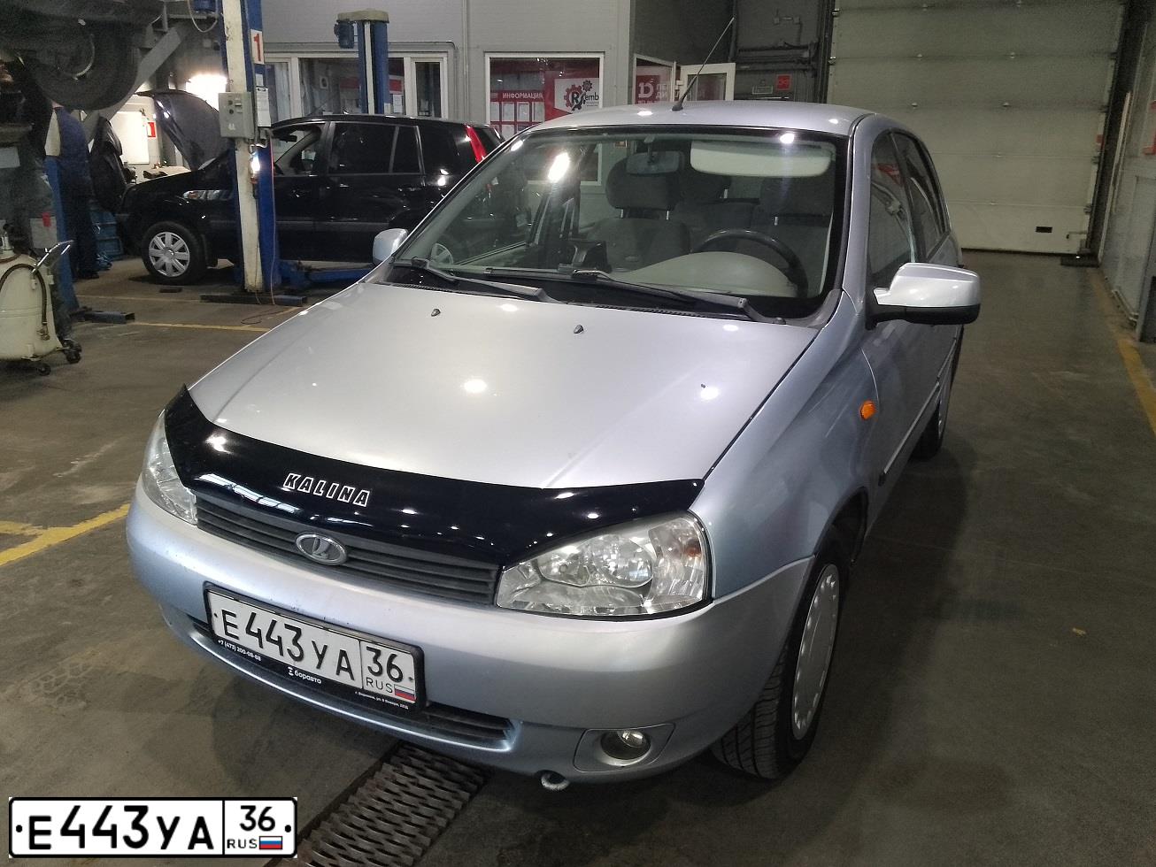 Фото автомобиля LADA 1119 KALINA, 2011 — госномер Е443УА36. Цвет: ГОЛУБОЙ