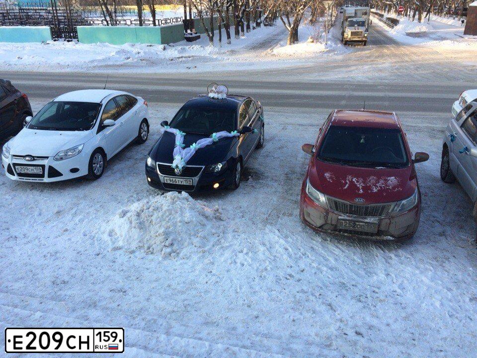 Фото автомобиля FORD FOCUS, 2014 — госномер М270АУ196. Цвет: Белый