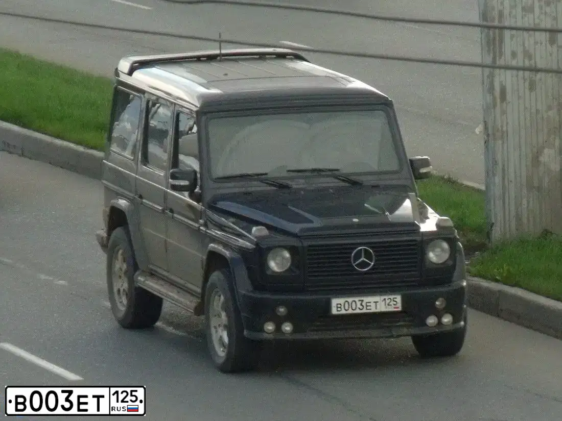 Фото автомобиля MERCEDES G-KLASSE, 1997 — госномер В003ЕТ125. Цвет: ЧЕРНЫЙ