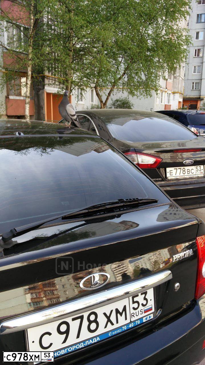Фото автомобиля LADA 2172 PRIORA, 2012 — госномер А666МН53. Цвет: СИНЕ-ЧЕРНЫЙ