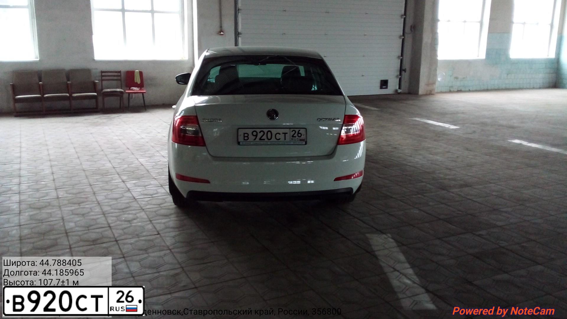 Фото автомобиля SKODA OCTAVIA, 2016 — госномер М288АВ126. Цвет: Белый