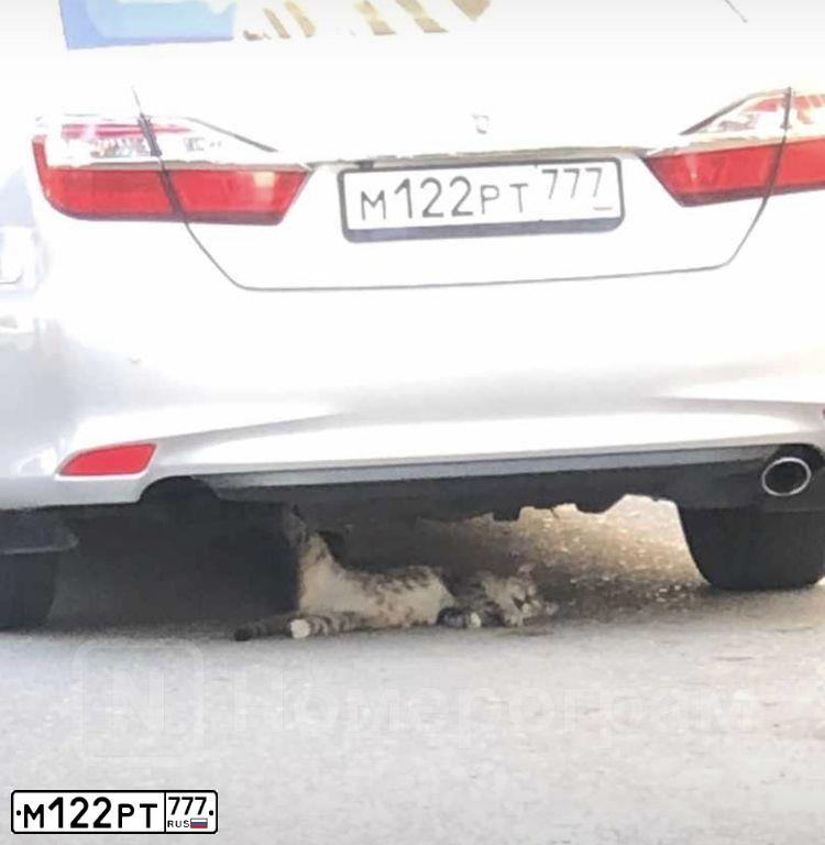 Фото автомобиля TOYOTA CAMRY, 2016 — госномер М122РТ777. Цвет: СЕРЕБРИСТЫЙ МЕТАЛЛИК