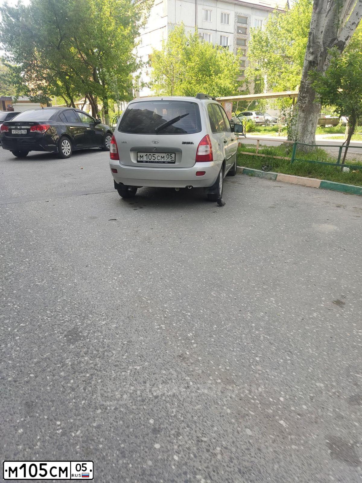 Фото автомобиля LADA 1117 KALINA, 2010 — госномер М105СМ05. Цвет: Серебристый