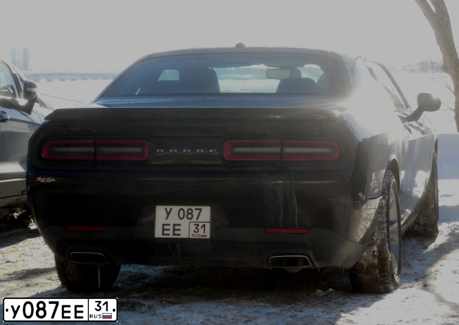 Фото автомобиля DODGE CHALLENGER, 2017 — госномер К666АУ126