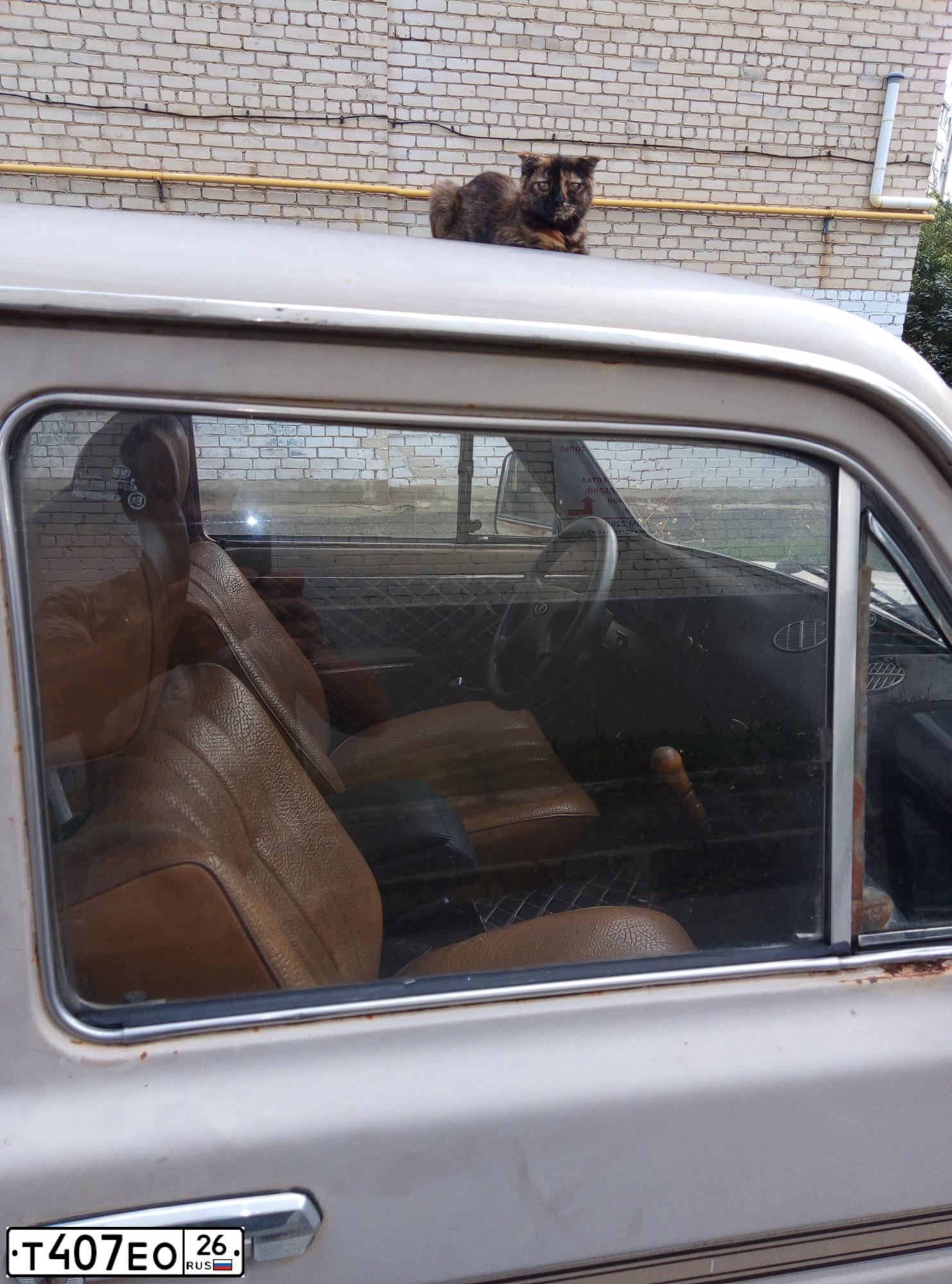 Фото автомобиля LADA 2121 NIVA, 1984 — госномер Т407ЕО26