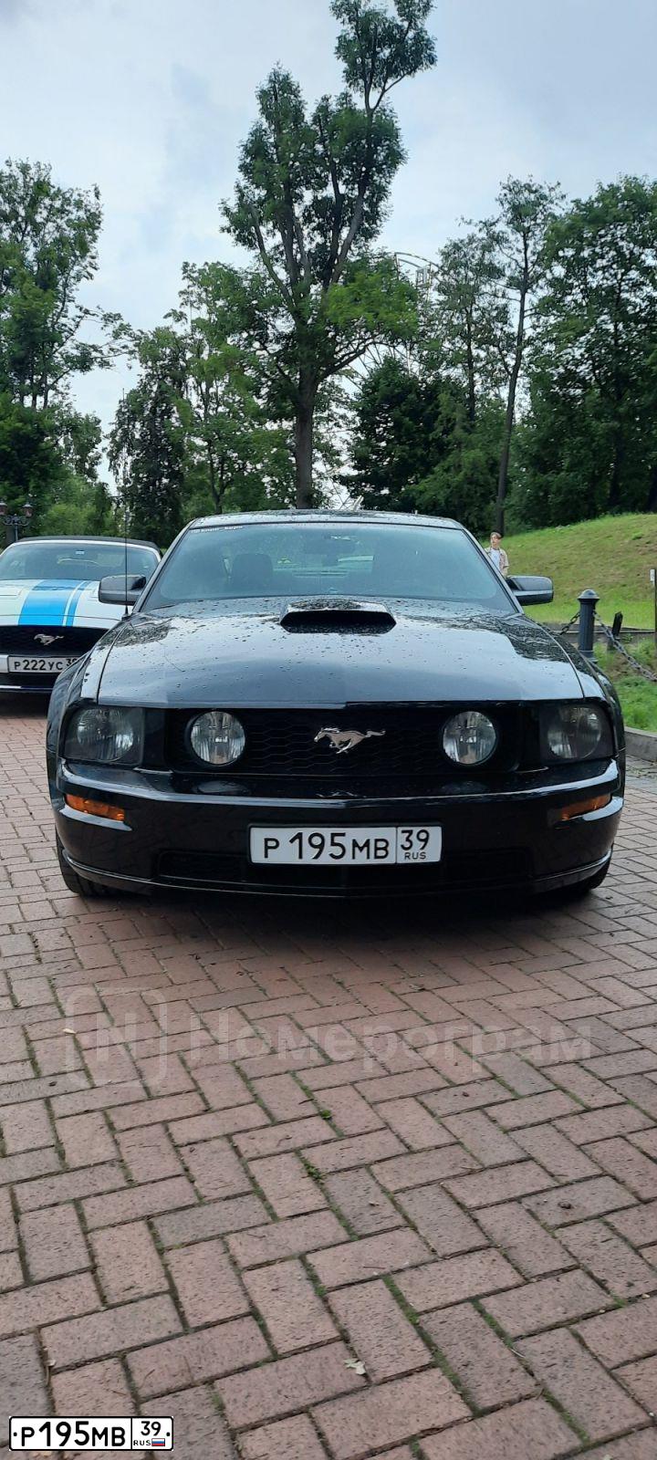 Фото автомобиля FORD MUSTANG, 2007 — госномер Р195МВ39. Цвет: ЧЕРНЫЙ