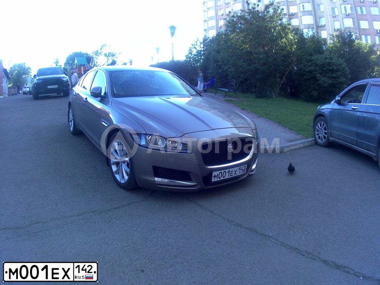 Фото автомобиля JAGUAR XF, 2016 — госномер К448АЕ37. Цвет: СЕРО-КОРИЧНЕВЫЙ