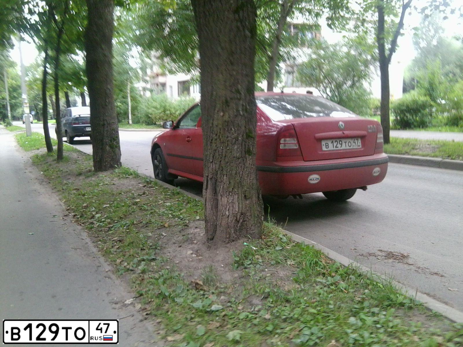 Фото автомобиля SKODA OCTAVIA, 2006 — госномер Е824АЕ82. Цвет: ВИШНЕВЫЙ
