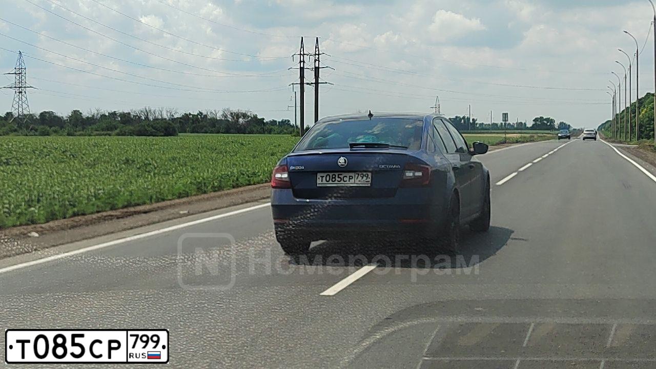 Фото автомобиля SKODA OCTAVIA, 2019 — госномер С323УР124