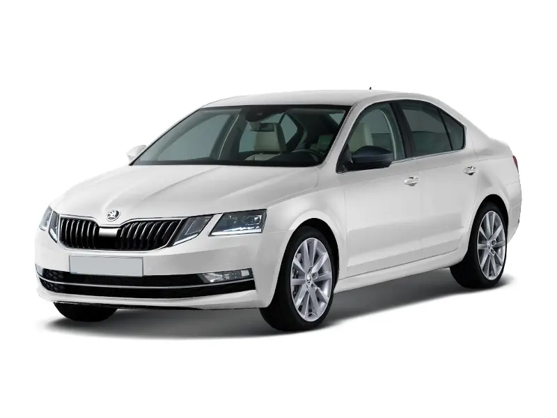 Фото автомобиля SKODA OCTAVIA, 2019 — госномер Т496УК62. Цвет: БЕЛЫЙ