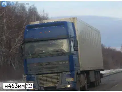 Фото автомобиля DAF XF 95 FT /4X2/, 2002 — госномер Н463ММ190. Цвет: СИНИЙ
