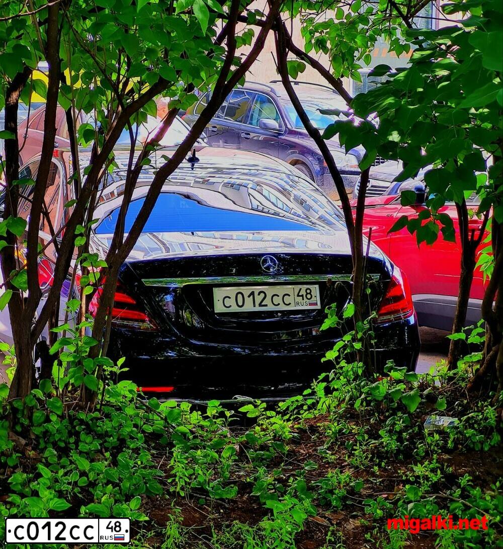 Фото автомобиля AUDI A8, 2013 — госномер Н340ОХ126. Цвет: ЧЕРНЫЙ