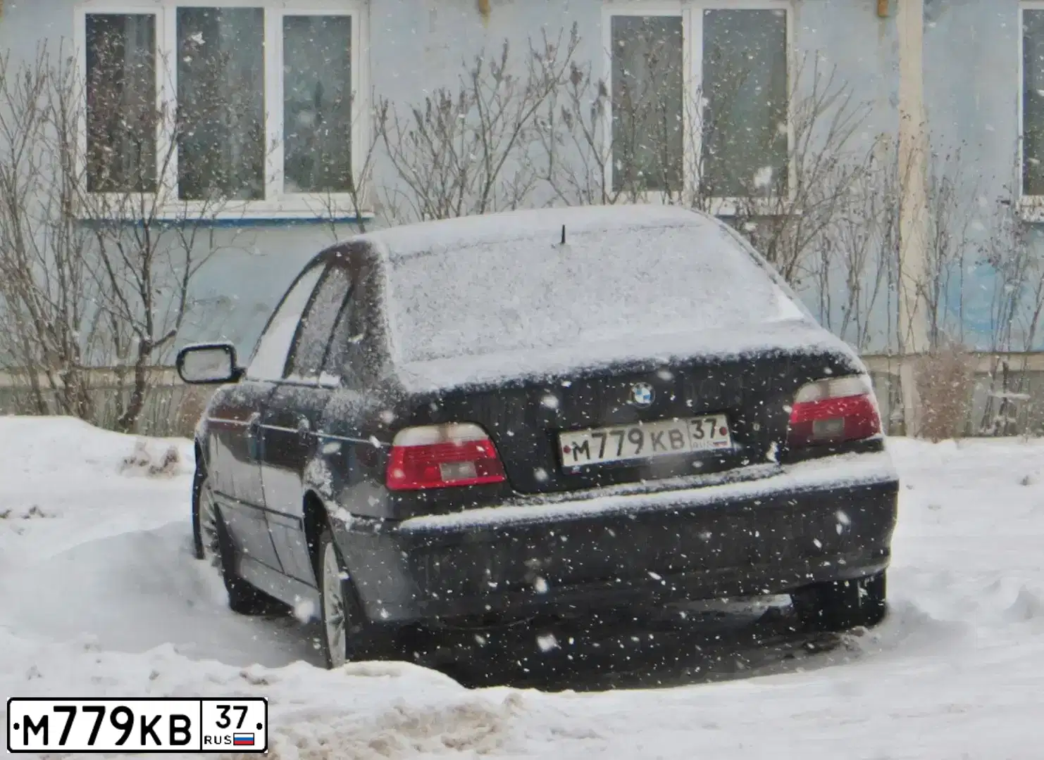 Фото автомобиля BMW SERIE 5, 2001 — госномер М779КВ37. Цвет: ЧЕРНЫЙ