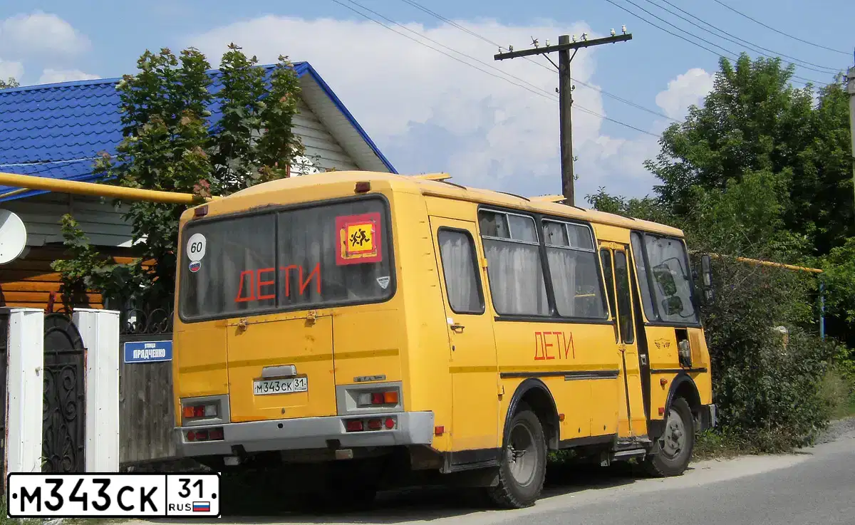 Фото автомобиля PAZ 3205, 2008 — госномер М343СК31. Цвет: ЖЁЛТЫЙ
