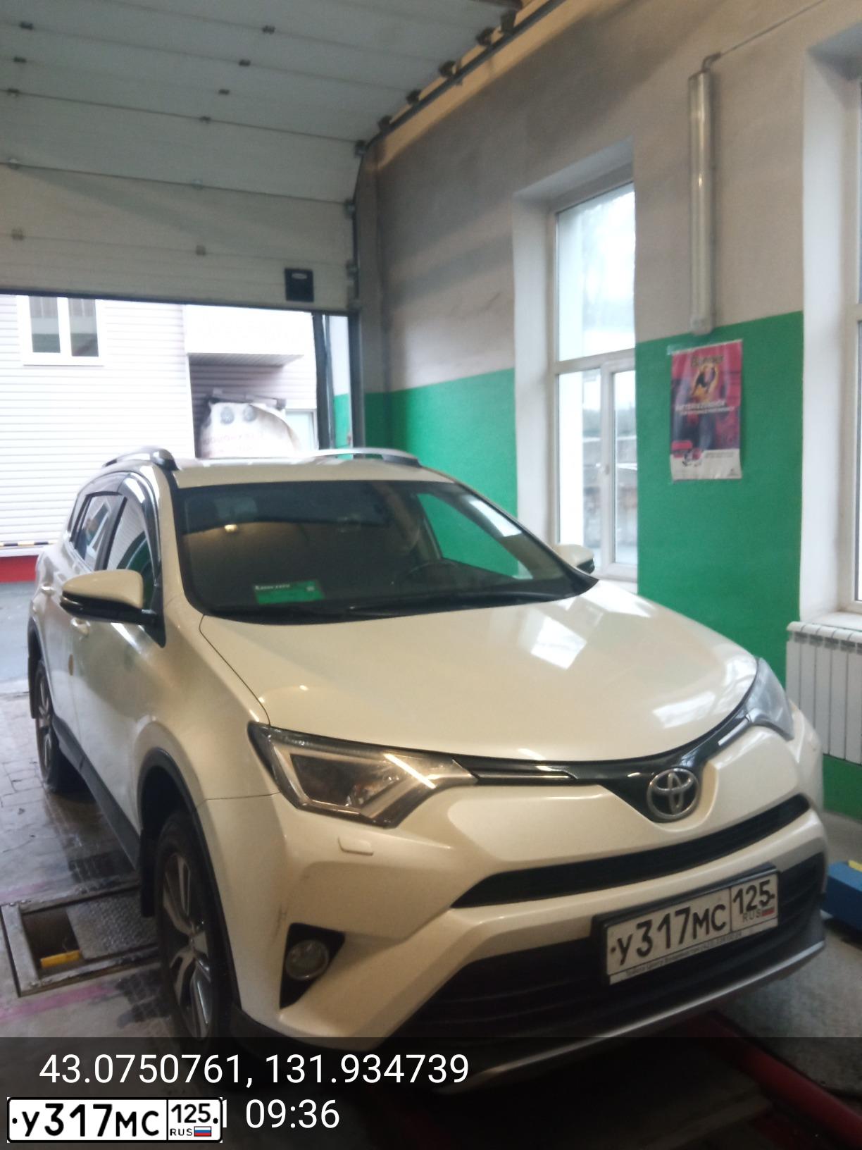 Фото автомобиля TOYOTA RAV4, 2017 — госномер У317МС125. Цвет: Белый