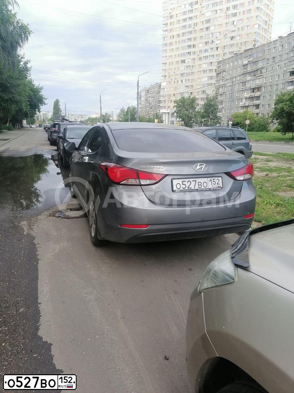 Фото автомобиля HYUNDAI ELANTRA, 2015 — госномер К812ХВ33. Цвет: Серый