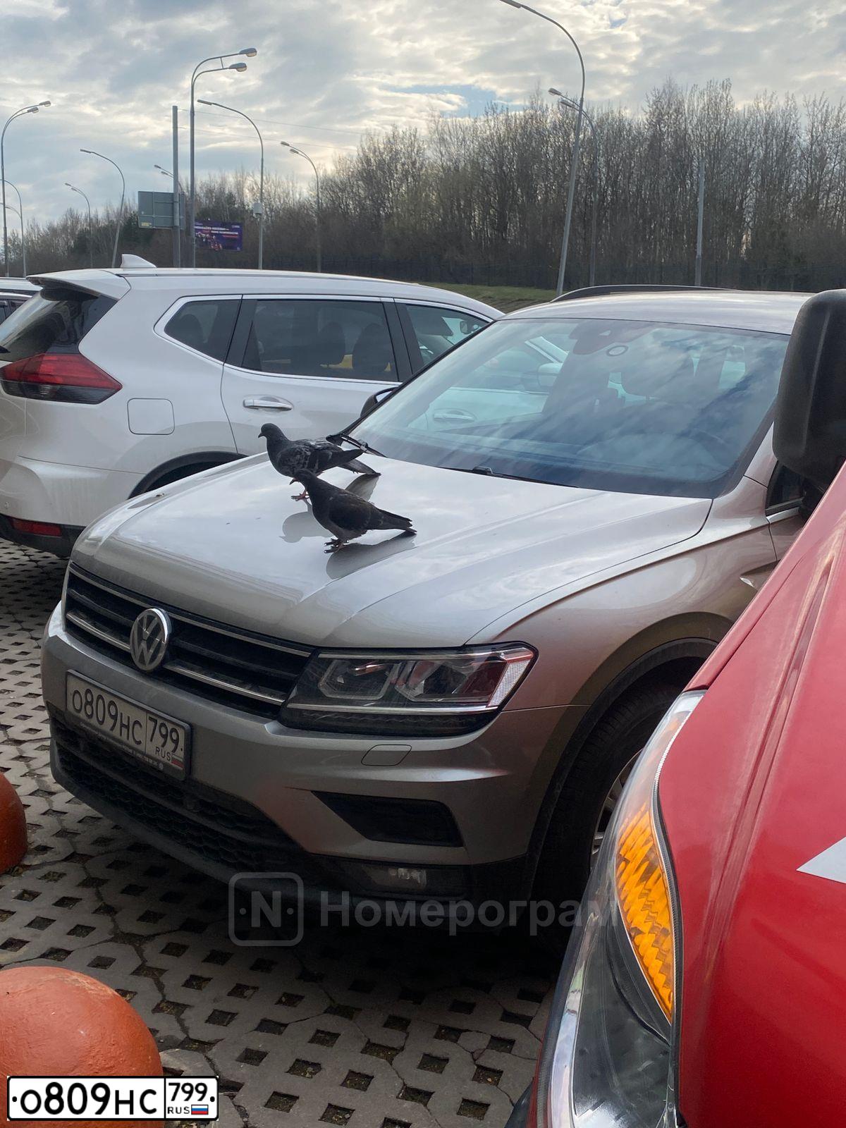 Фото автомобиля VOLKSWAGEN TIGUAN, 2019 — госномер О809НС799. Цвет: Серебристый