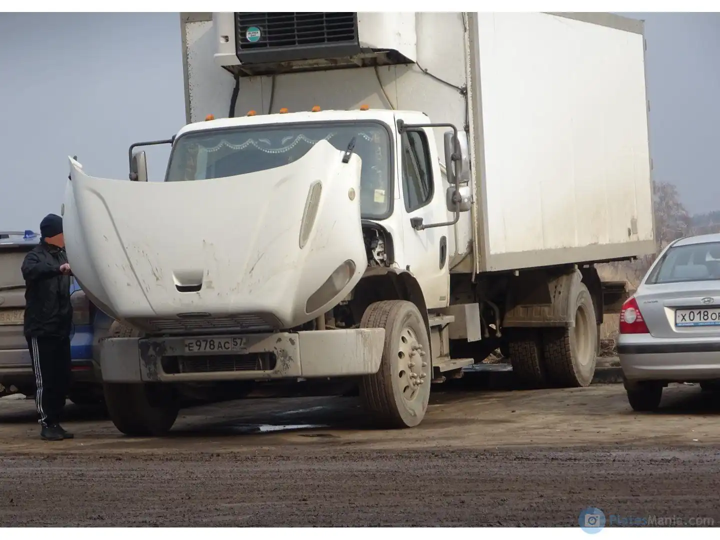 Фото автомобиля FREIGHTLINER BUSINESS CLASS, 2004 — госномер Р648ВС32. Цвет: Белый