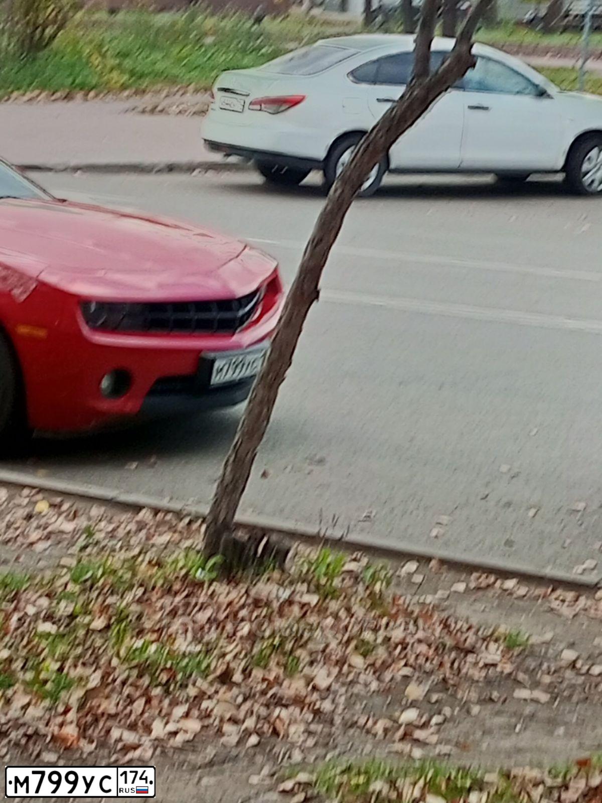 Фото автомобиля MERCEDES M-KLASSE, 1999 — госномер С294ВВ774. Цвет: БОРДОВЫЙ