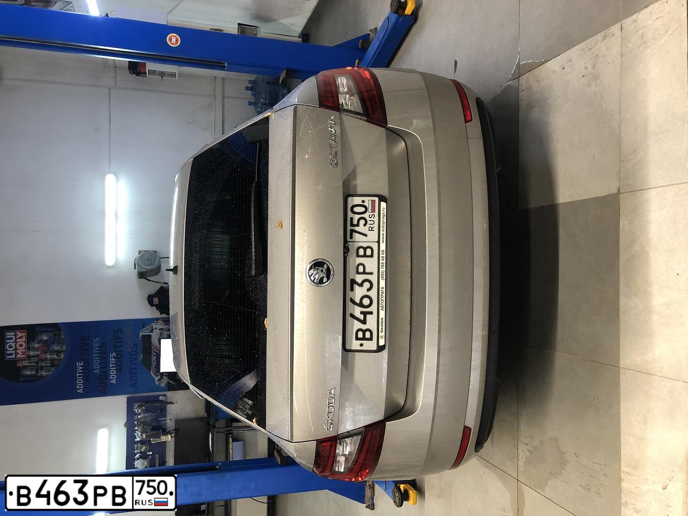 Фото автомобиля SKODA OCTAVIA, 2017 — госномер В463РВ750. Цвет: БЕЖЕВЫЙ