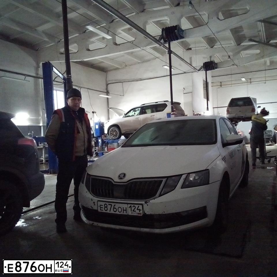 Фото автомобиля SKODA OCTAVIA, 2019 — госномер Р356ВХ70. Цвет: Белый