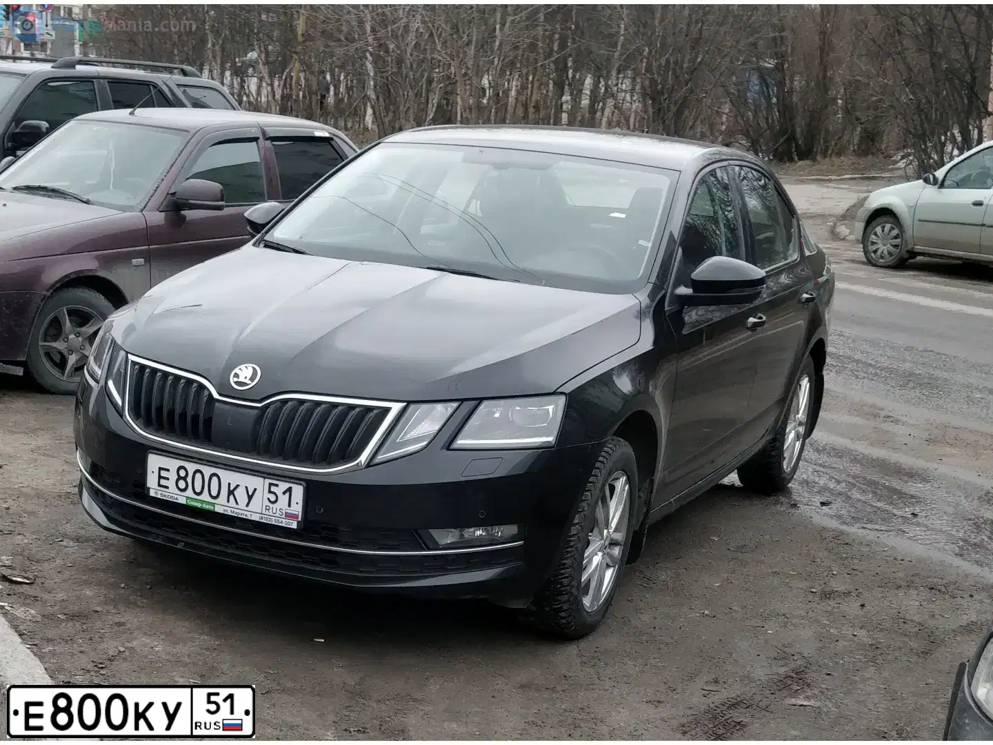 Фото автомобиля SKODA OCTAVIA, 2018 — госномер Е800КУ51. Цвет: ЧЕРНЫЙ