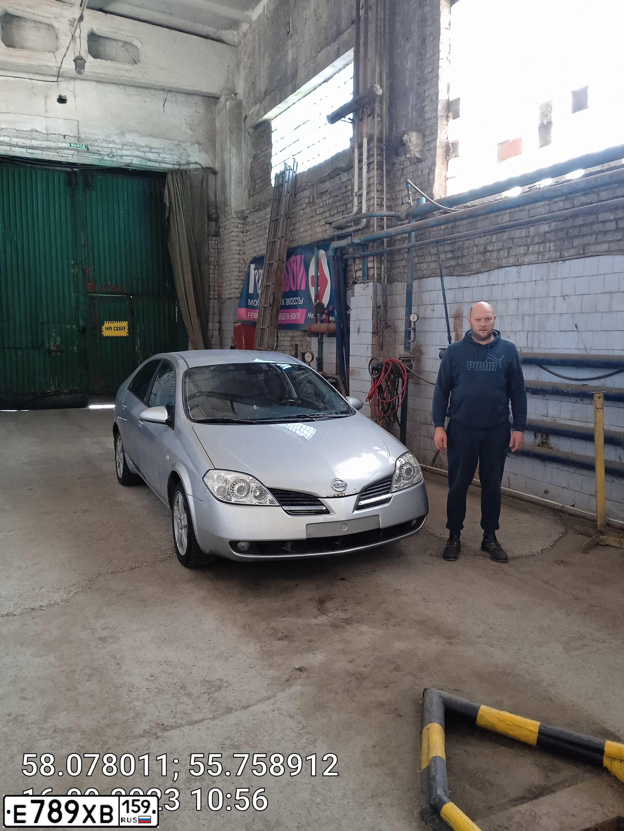 Фото автомобиля NISSAN PRIMERA, 2005 — госномер Е789ХВ159. Цвет: СЕРЕБРИСТЫЙ