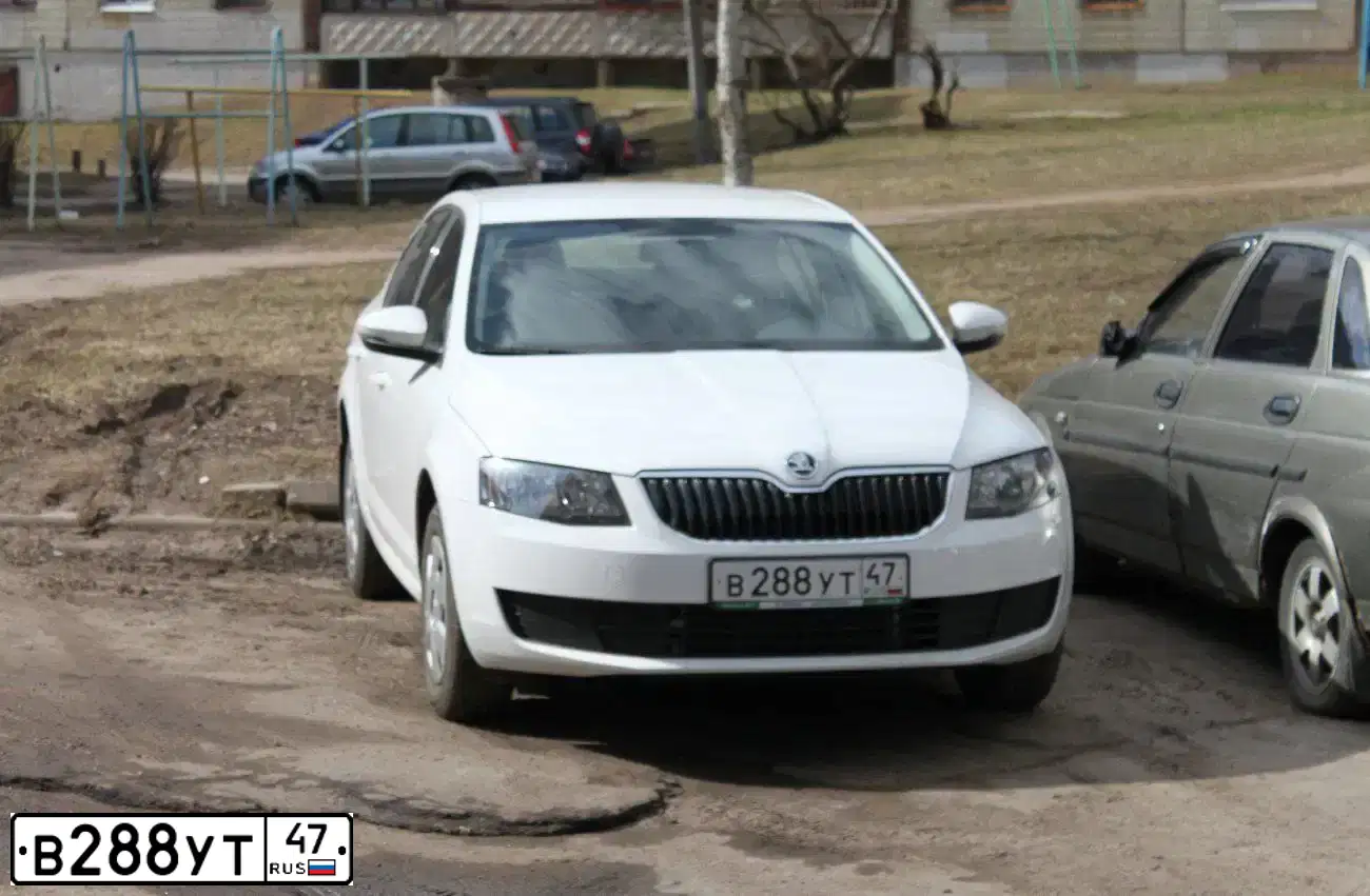 Фото автомобиля SKODA OCTAVIA, 2014 — госномер В288УТ47. Цвет: Белый