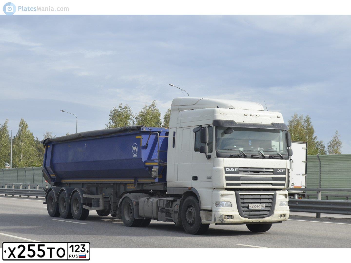 Фото автомобиля DAF FT, 2017 — госномер К853МС136. Цвет: Белый