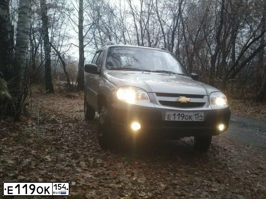 Фото автомобиля CHEVROLET NIVA, 2015 — госномер Т165АВ58. Цвет: СЕРО-КОРИЧНЕВЫЙ МЕТАЛЛИК