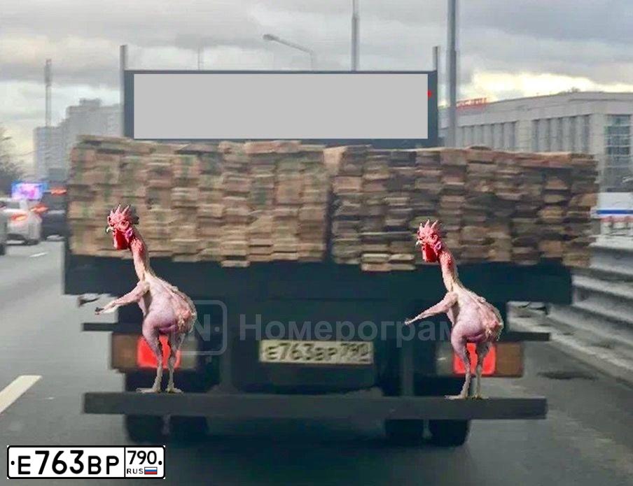 Фото автомобиля HYUNDAI MIGHTY, 2013 — госномер Е763ВР790. Цвет: Белый
