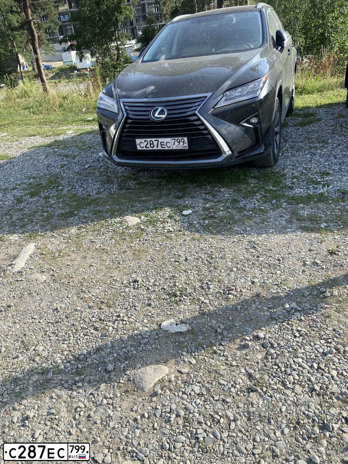 Фото автомобиля LEXUS RX, 2018 — госномер С287ЕС799. Цвет: ЧЕРНЫЙ
