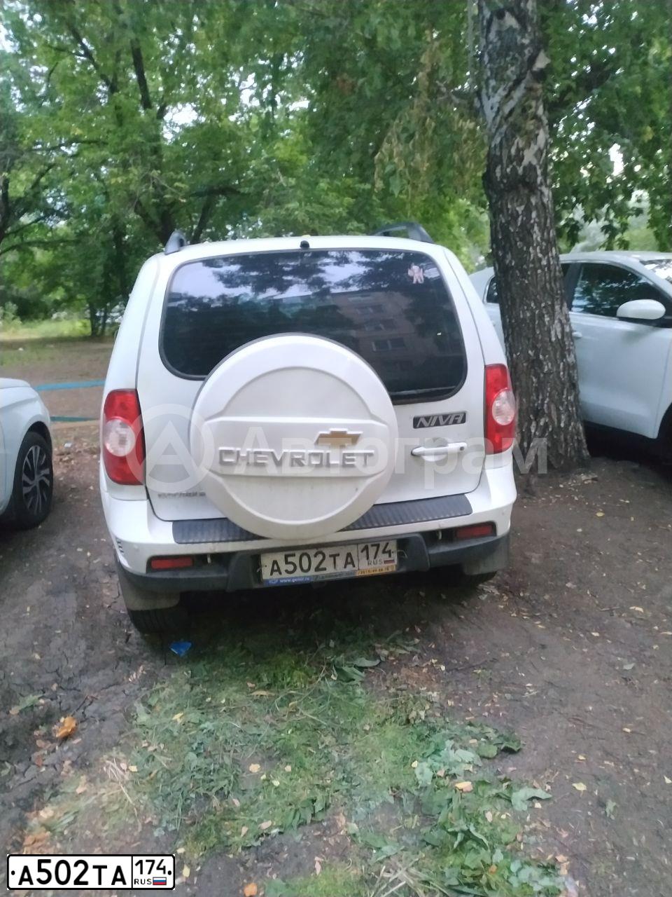Фото автомобиля CHEVROLET NIVA, 2012 — госномер К174РК174. Цвет: ЯРКО-БЕЛЫЙ