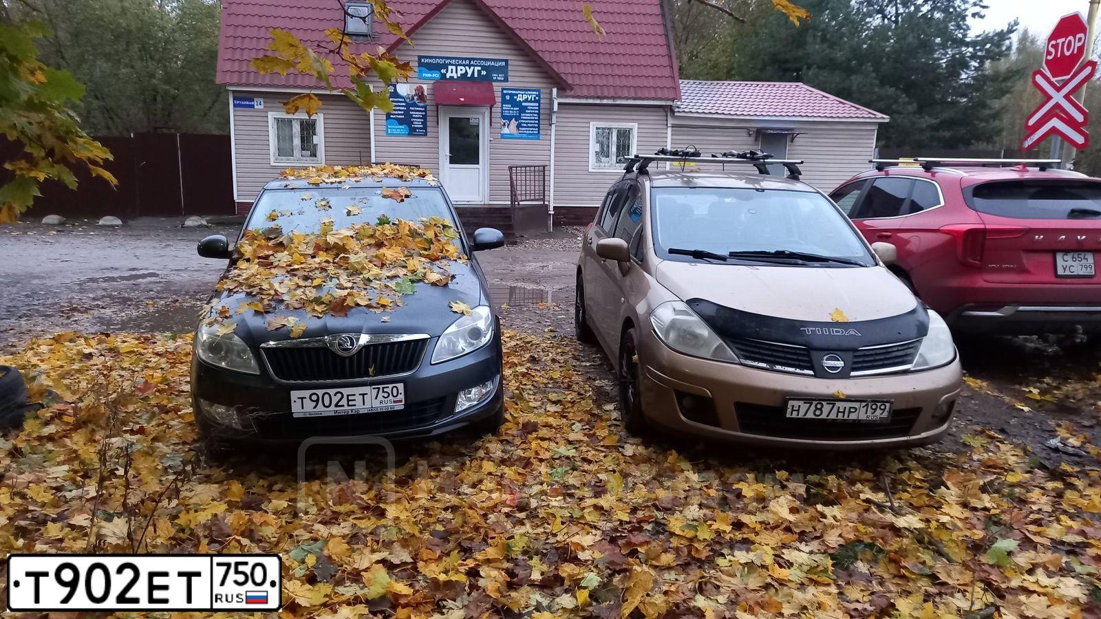 Фото автомобиля SKODA FABIA, 2014 — госномер Т902ЕТ750. Цвет: СЕРЫЙ ТЕМНЫЙ