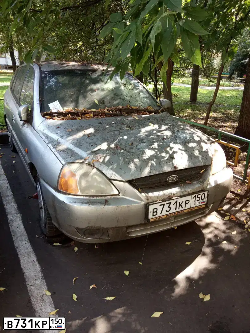 Фото автомобиля KIA RIO, 2003 — госномер В731КР150. Цвет: СЕРЕБРИСТЫЙ