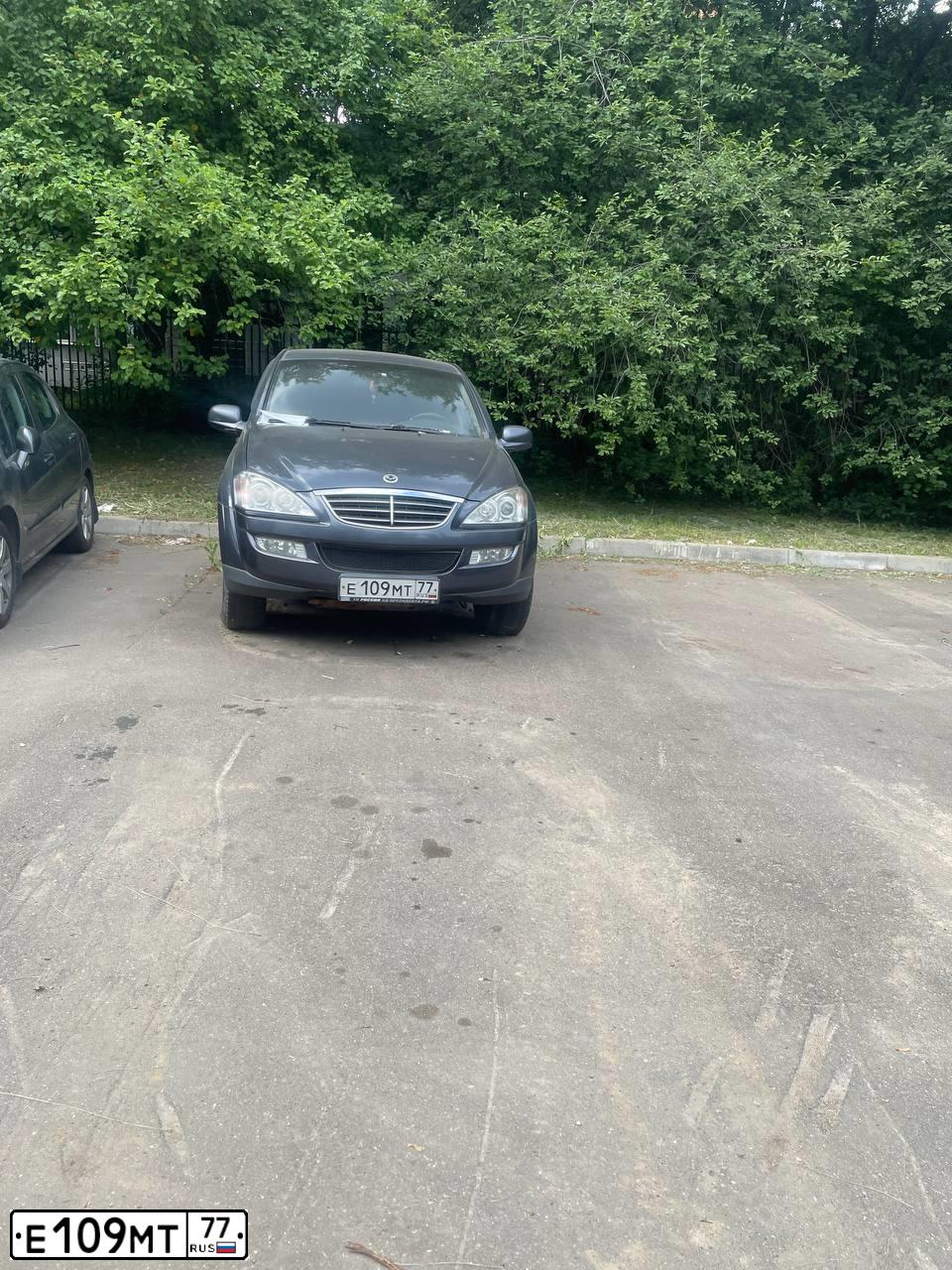 Фото автомобиля SSANGYONG KYRON, 2013 — госномер Е109МТ77. Цвет: СЕРЫЙ ТЕМНЫЙ