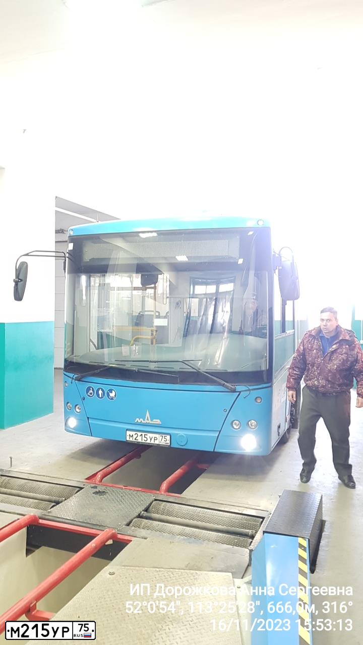 Фото автомобиля MAZ 206 - 226, 2020 — госномер М215УР75. Цвет: СЕРО-ГОЛУБОЙ
