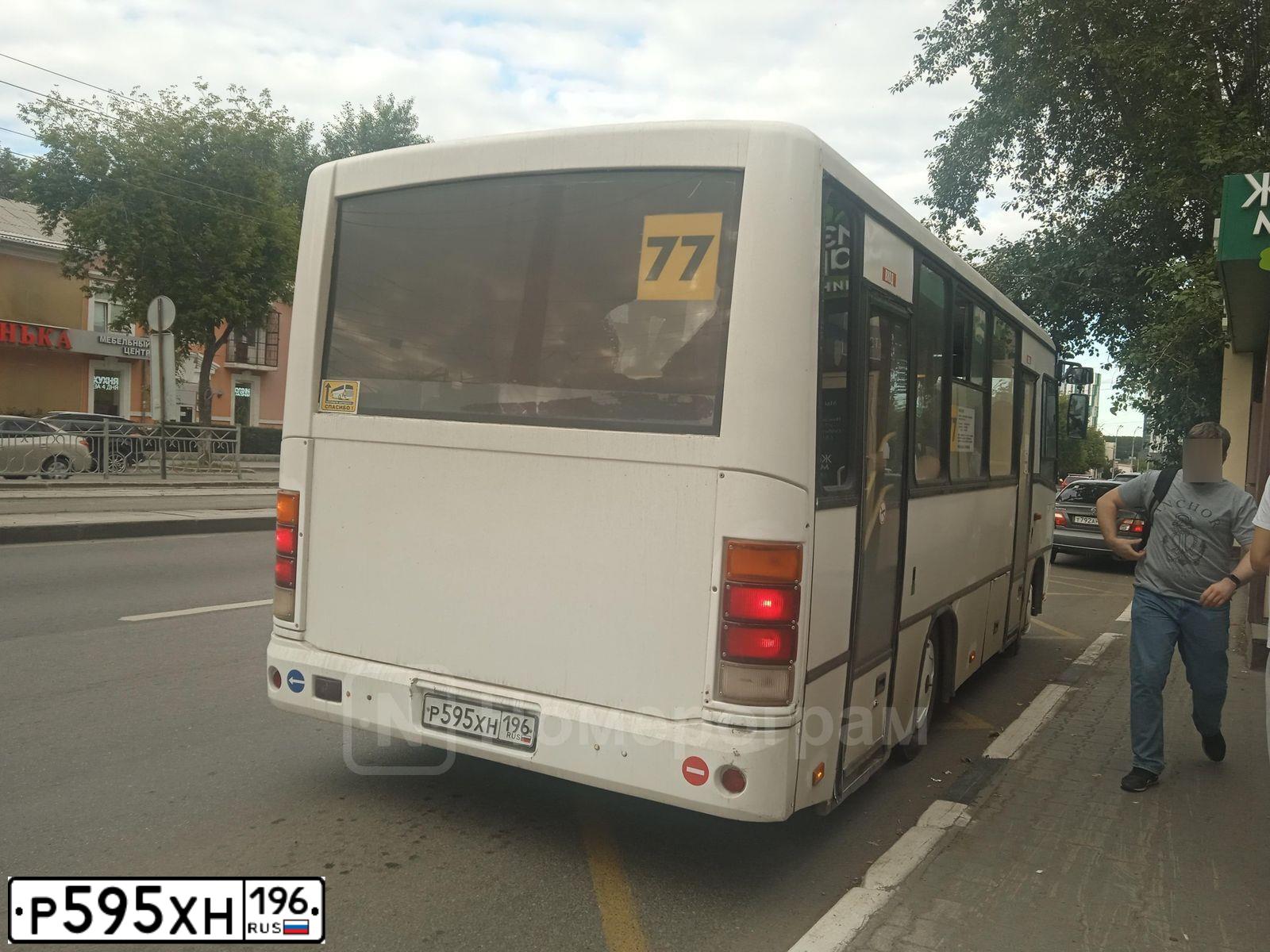 Фото автомобиля PAZ 3204, 2014 — госномер Р595ХН196. Цвет: Белый