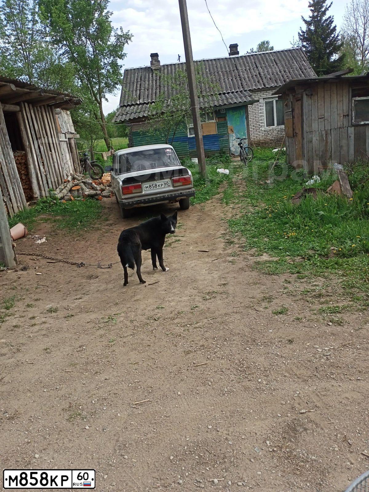 Фото автомобиля LADA 2107, 2011 — госномер М858КР60. Цвет: СЕРЕБРИСТЫЙ