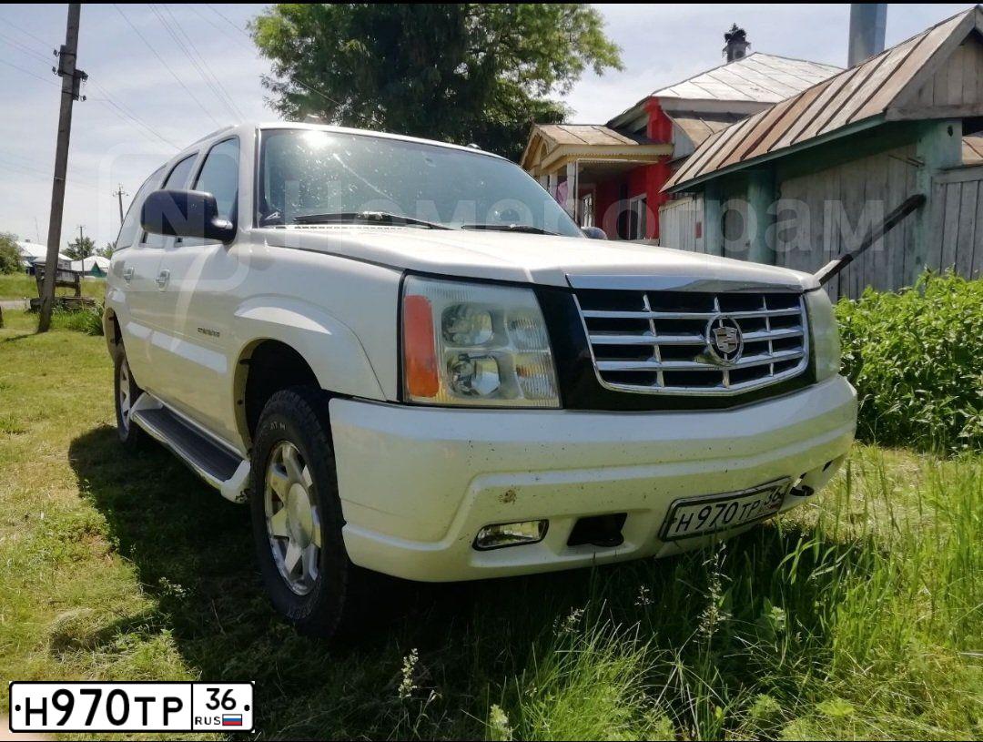 Фото автомобиля CADILLAC ESCALADE, 2003 — госномер Н970ТР36. Цвет: БЕЛЫЙ