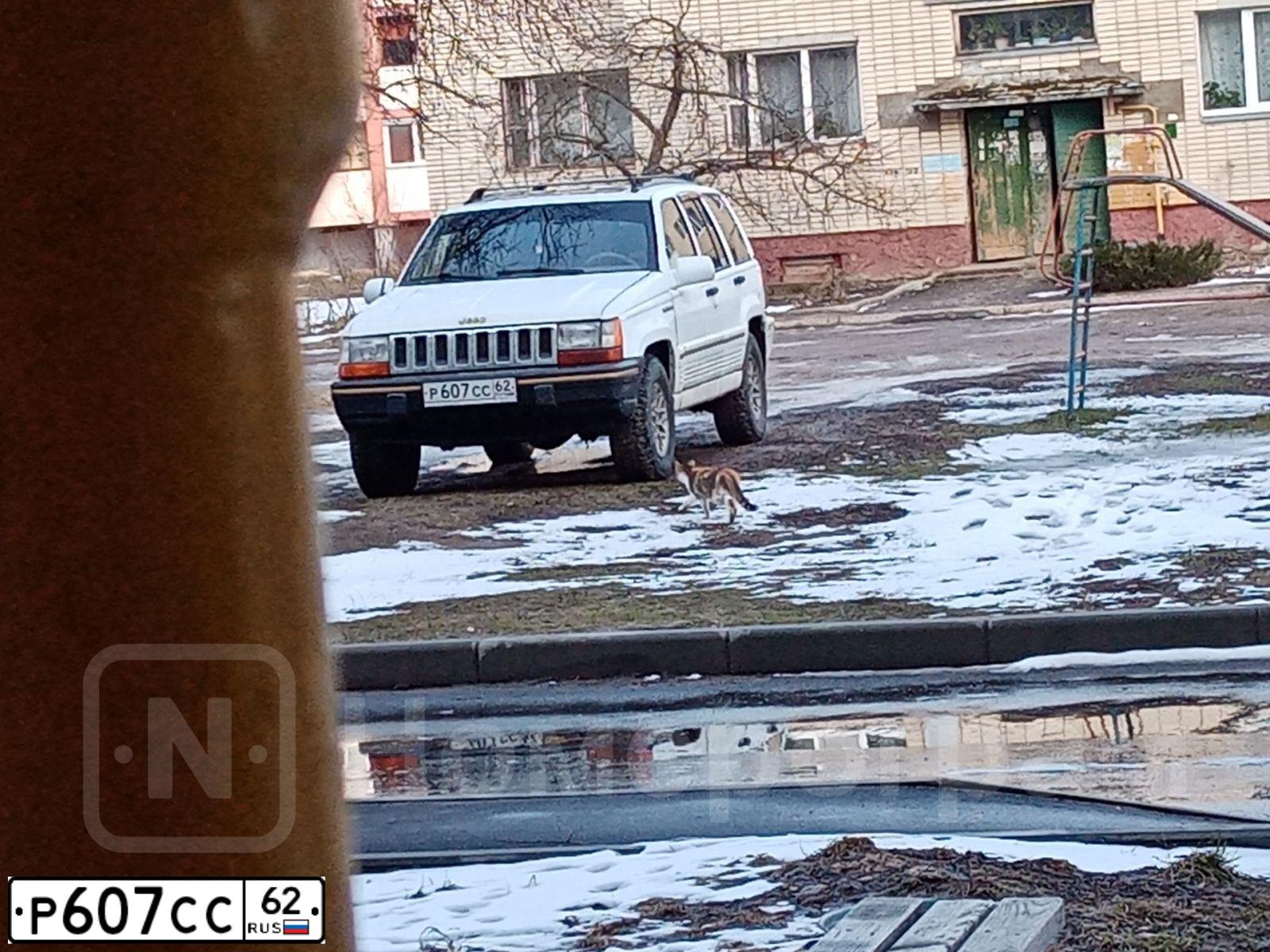 Фото автомобиля JEEP GRAND CHEROKEE, 1994 — госномер Р607СС62. Цвет: БЕЛЫЙ