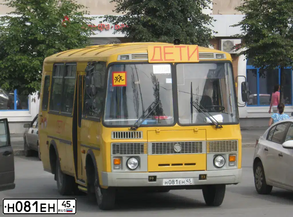 Фото автомобиля PAZ 3205, 2008 — госномер Н081ЕН45. Цвет: ЖЁЛТЫЙ
