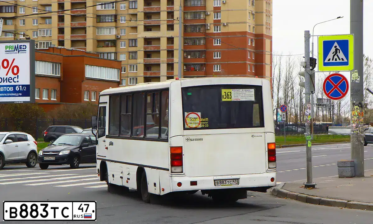Фото автомобиля PAZ 3204, 2013 — госномер В523ТО69. Цвет: Белый
