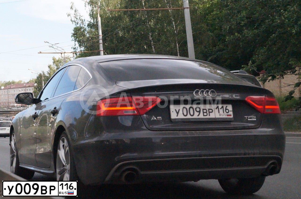 Фото автомобиля AUDI A5, 2014 — госномер У009ВР116. Цвет: ЧЕРНО-СИНИЙ