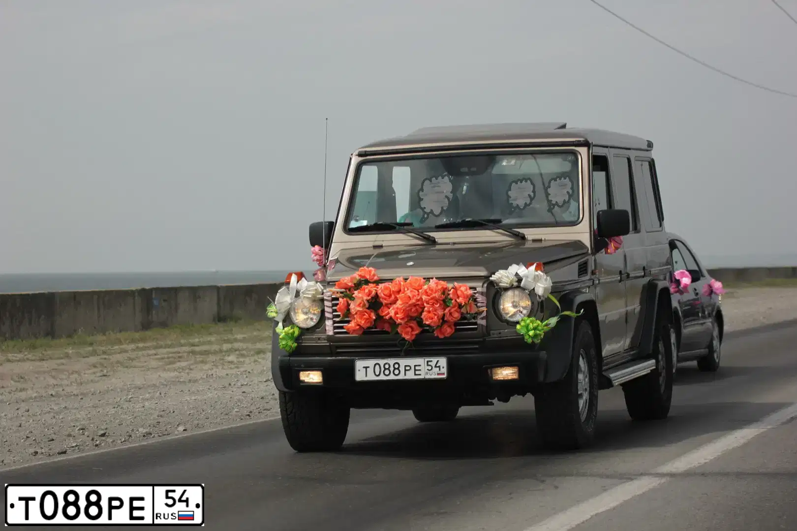 Фото автомобиля MERCEDES G-KLASSE, 1991 — госномер Т088РЕ54. Цвет: Коричневый