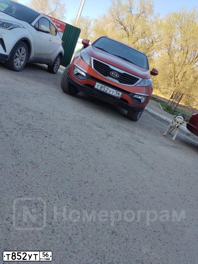 Фото автомобиля KIA SPORTAGE, 2012 — госномер Т852УТ56. Цвет: ОРАНЖЕВЫЙ
