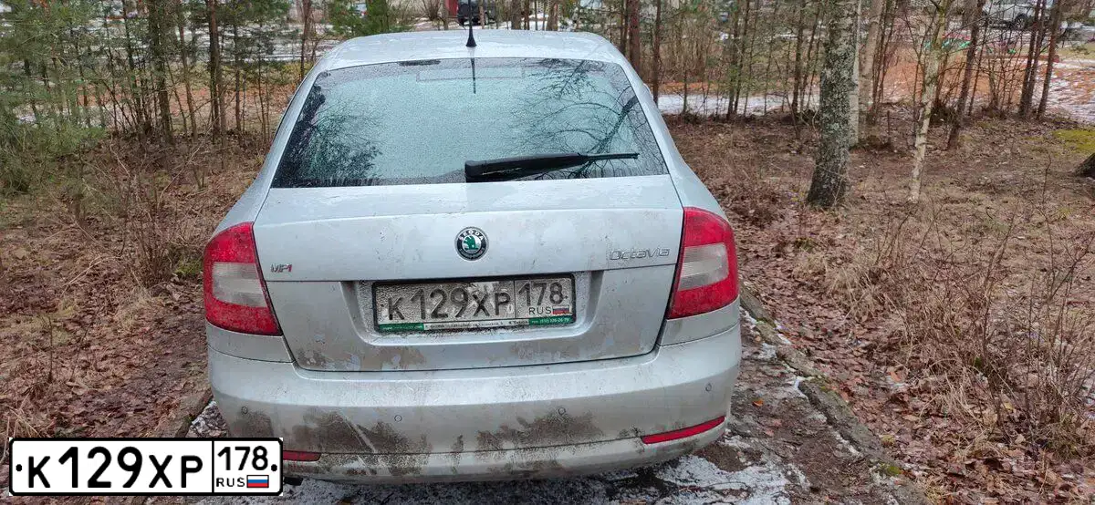Фото автомобиля SKODA OCTAVIA, 2012 — госномер М843ТХ10. Цвет: Серебристый
