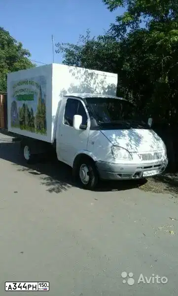 Фото автомобиля GAZ 3302 GAZEL, 2006 — госномер Н243РР799. Цвет: Белый